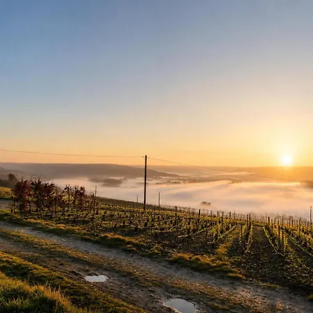 بيت للعطل Le Clos De Champillon 般舟山庄 *
