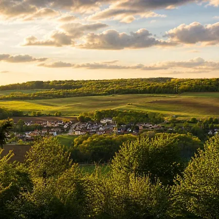 Le Clos De Champillon 般舟山庄 بيت للعطل Gland