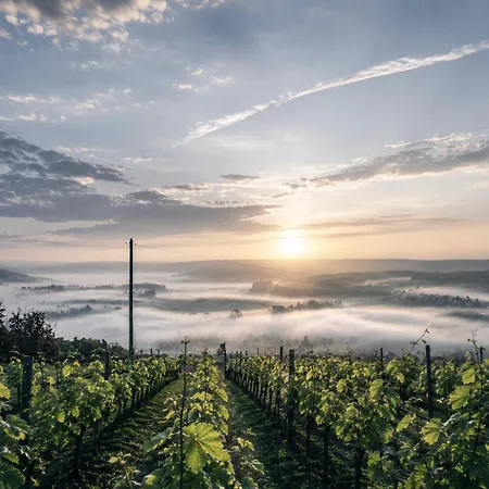بيت للعطل Le Clos De Champillon 般舟山庄 Gland