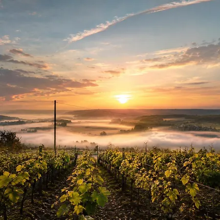 Le Clos De Champillon 般舟山庄