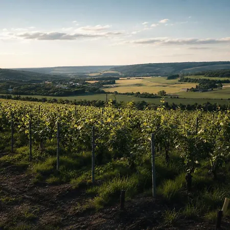 Le Clos De Champillon 般舟山庄 بيت للعطل