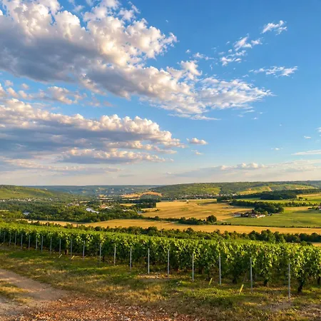 Le Clos De Champillon 般舟山庄