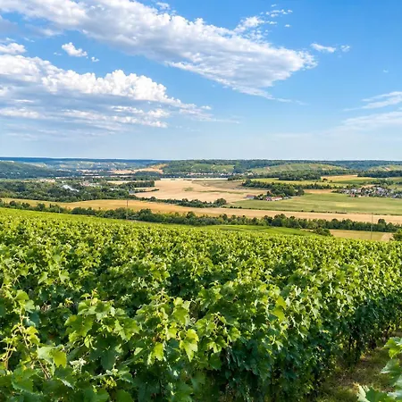 Le Clos De Champillon 般舟山庄 بيت للعطل Gland